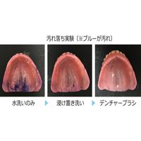 【義歯ブラシ】 入れ歯ブラシ アジャスト デンチャーブラシ(マンゴー) 690039 1個