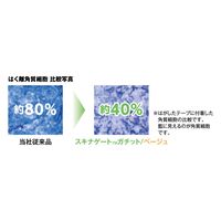 ニチバン スキナゲート ガチット 50mm×5m SGG50 1箱（6巻入）