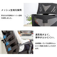 ファミリー・ライフ Gravina リクライニングリラックスチェアー　(フットレス付き) 03819 1個（直送品）