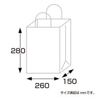 ササガワ 手提げバッグ レースィ 中 50-5612 1包 (50枚袋入)