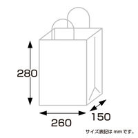 ササガワ 手提げバッグ レースィ 中 50-6612 1包 (10枚袋入)