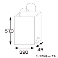ササガワ 手提げバッグ 額縁用 A3 50-6900 1包 (10枚袋入)