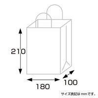 ササガワ 手提げバッグ 10P赤 特小 50-6910 1包 (10枚袋入)
