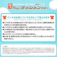 寺西化学工業 水性ペン マジック ラッションカラーNo.810 12色セット M810C-12 1セット(12本)