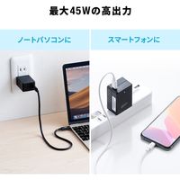 サンワサプライ USB Power Delivery対応AC充電器（45W） 700-AC028 1個（直送品）