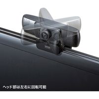 サンワサプライ 会議用ワイドレンズWEBカメラ　720p CMS-V43BK-3 1個（直送品）