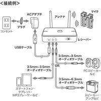 サンワサプライ ワイヤレスマイクシステム 2台セット 充電式 スピーカー MM-MCWSET 1個