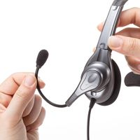 サンワサプライ ワイヤレスガイド用ヘッドセット 親機用 MM-WGS1T用 MM-WGS1T-HS2 1個（直送品）