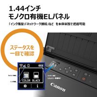 キヤノン カラーインクジェット コンパクトモバイルプリンター TR153 A4 Canon キャノン 1台