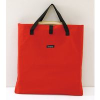 スパイス バカンス　キャンパスフォールディング　ウッドディレクターチェア　レッド SFVY1920RD 1台（直送品）