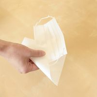 大直 水に溶けるエチケットペーパー 208600015 1セット（直送品）