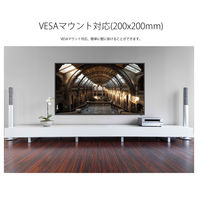 JAPANNEXT 55インチワイド4K対応液晶モニター JN-550IPS4K 1台（直送品） 大型モニター（直送品）