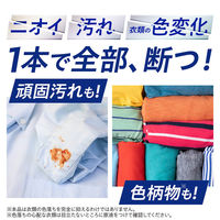 ナノックス ワン（NANOX one）スタンダード 本体 380g 1個 洗濯 洗剤 ライオン