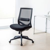サンワサプライ メッシュチェア 高耐荷重 耐荷重 120kg ブラック SNC-NET20BK 1個（直送品）