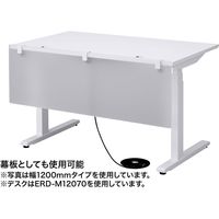 サンワサプライ デスクパーティション クランプ式 幅1000×奥行55×高さ410mm フロスト調 SPT-DP100 1個（直送品）