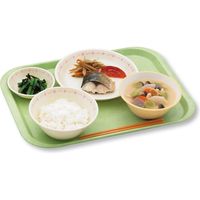 三信化工 エスタートレイ スナック SE-10N-FPU 1枚（直送品）