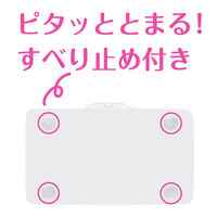 ウェットティッシュ 除菌シート 除菌ノンアルコール 本体 1パック（47枚入） エリエール ピュアナ（Puana） 大王製紙