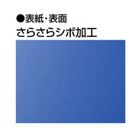 コクヨ 固定式クリアファイル ＜Glassele＞（グラッセル） 10ポケット ピンク ラ-GL10P 10冊