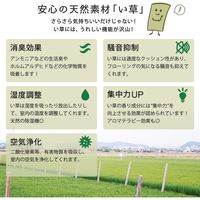 萩原 置き畳 紗彩(さや) 65×65×2.5cm ナチュラル 159054705 1枚