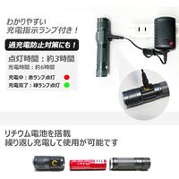 グッド・グッズ LED懐中電灯 ED25-S 1個