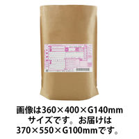 宅配袋 底ガゼット型 フラップなし W370×H550×G100mm 1パック（10枚入） 今村紙工