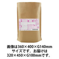 宅配袋 底ガゼット型 フラップなし W320×H450×G100mm 1パック（10枚入） 今村紙工