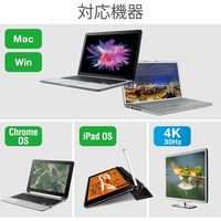 Type-C映像変換アダプタ USB Type-C - HDMI & VGA ブラック AD-CHDMIVGABK 1個　エレコム（直送品）