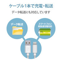 エレコム Lightningケーブル/スタンダード/1.0m/ホワイト MPA-UALA10WH 1個