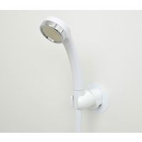 ガオナ シャワーフック 角度調節 汚れ隠しプレート付き 交換用 ビス止め式 取替え ホワイト ホルダー 掛具 GA-FP031 1個（直送品）