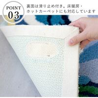 スミノエ ミラショーン 玄関マット ローザ 70×120cm ダークグリーン 4549781243603 1枚