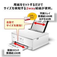 キヤノン Canon A4カラーインクジェット複合機 PIXUS TS8430WH ホワイト キャノン ピクサス プリンター