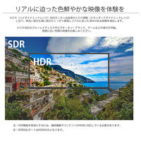 JAPANNEXT 34インチ HDR対応ウルトラワイド液晶ディスプレイ JN-VG34100UWQHDR 1台