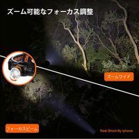 NICRON H30F フォーカスヘッドライト900LM 充電式 1本