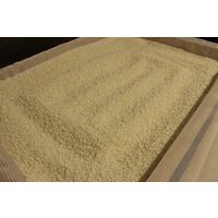 ミガキイチゴ 純米どぶろく 290ml 1本 東京港醸造 GRA　いちご　甘口