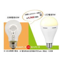 かりはな製作所 蓄電型LED電球 防災電球 電球色 KS-01OR 1個