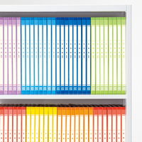 プラス 年組氏名 スクール フラットファイル A4タテ ブルー 79345 1冊