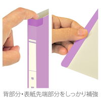 プラス 年組氏名 スクール フラットファイル A4タテ パープル 79342 1セット(5冊)