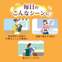 めぐりズム蒸気の温熱シート下着の内側面に貼る　1箱（5枚入）　花王