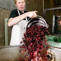 フルーツビール チェリービール 輸入ビール リーフマンス 250ml 瓶 6本