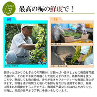 スパークリング梅酒 250ml 缶 6本　おおやま夢工房　国産鶯宿梅100%　酸味料・香料・着色料不使用