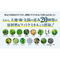 アビオス ベジパワープラス 1箱(30本入)  青汁 スティックタイプ