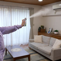 カメムシ コバエ ユスリカ ムカデ 蜂 お部屋の虫キラー ワンプッシュ 160畳分 1個 フマキラー