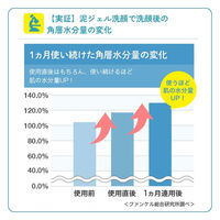 FANCL（ファンケル）泥ジェル洗顔 120g 毛穴 無添加