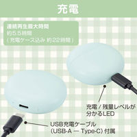 ワイヤレスイヤホン Bluetooth 5.3 低遅延 超軽量 マカロングリーン LBT-TWS17CSGN エレコム 1個