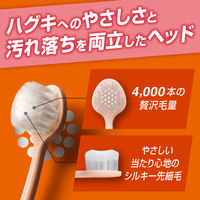 歯ブラシ ピュオーラ PureOra36500 歯ブラシ シルキー毛 ハグキにやわふわ濃密磨き やわらかめ 1本 花王
