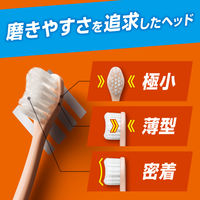 ピュオーラ PureOra36500 歯ブラシ 極小＆密着ヘッド 歯周のキワまで1本1本磨き ハブラシ ふつう 1本 花王