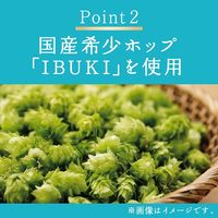 ビール キリン 晴れ風 350ml 缶 2箱（48本）