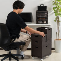 JEJアステージ カロキューブ縦型ハーフ ダークブラウン 収納ボックス 1セット（1個×5）