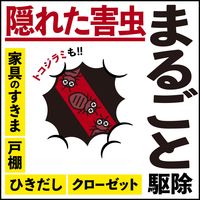 アースレッドW 12～16畳用 3個パック×3セット アース製薬 ゴキブリ イエダニ ノミ トコジラミ ハエ 蚊【第2類医薬品】