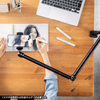 サンワサプライ クランプ式カメラマウント(3関節タイプ) CR-LACAM7 1個